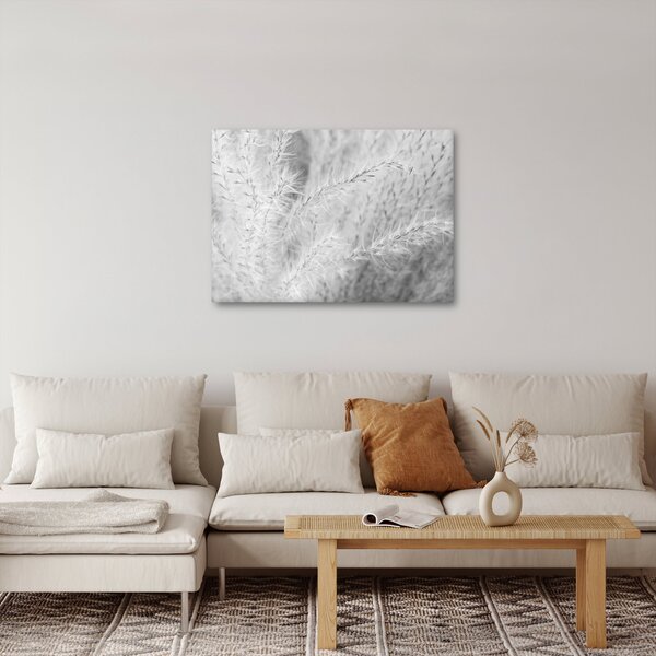 Obraz - Trawa pampasowa N⁰1 (70x50 cm)
