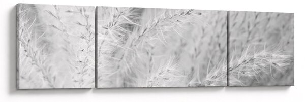 Obraz - Trawa pampasowa N⁰1 (170x50 cm)