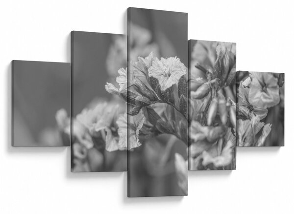 Obraz - Suszone kwiaty (125x70 cm)