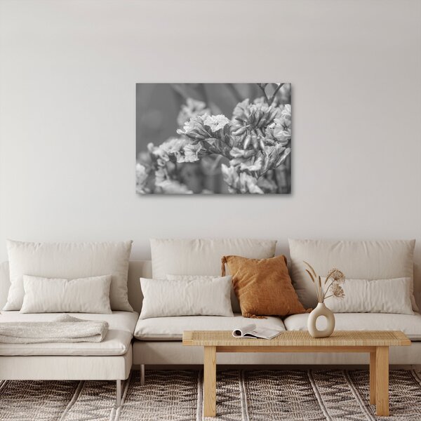 Obraz - Suszone kwiaty (70x50 cm)