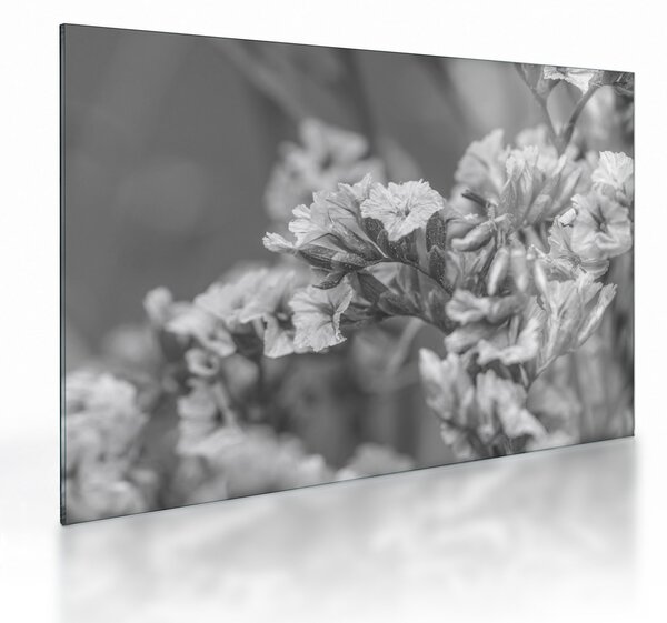 Obraz na szkle - Suszone kwiaty (70x50 cm)
