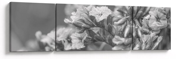 Obraz - Suszone kwiaty (170x50 cm)