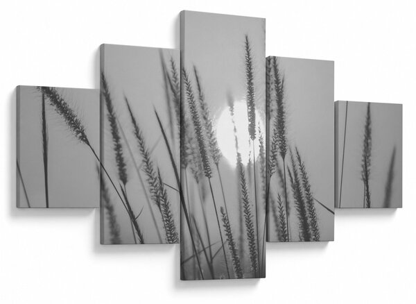 Obraz - Łąka o zachodzie słońca (125x70 cm)