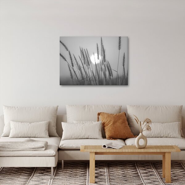 Obraz - Łąka o zachodzie słońca (70x50 cm)