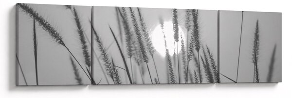 Obraz - Łąka o zachodzie słońca (170x50 cm)