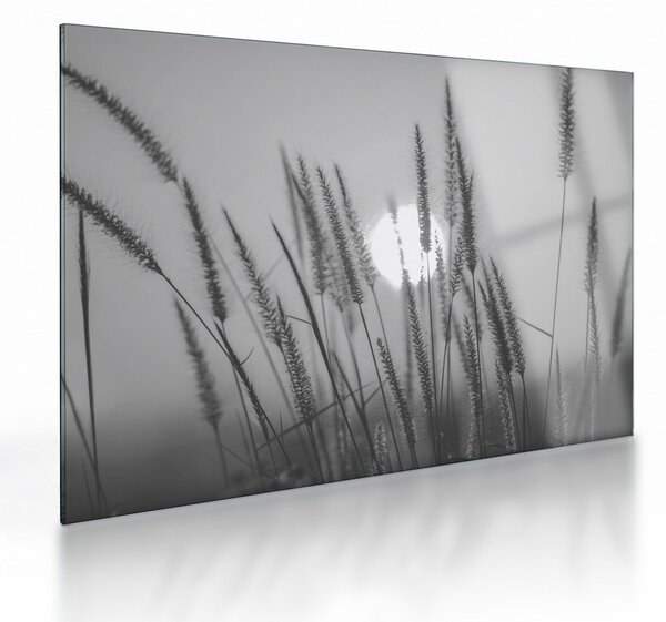 Obraz na szkle - Łąka o zachodzie słońca (70x50 cm)