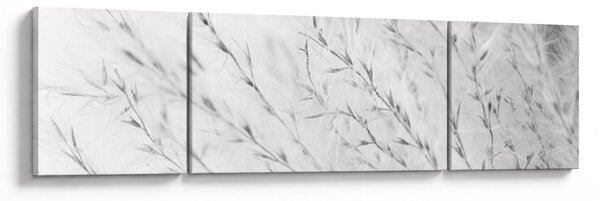 Obraz - Trawa pampasowa N⁰2 (170x50 cm)