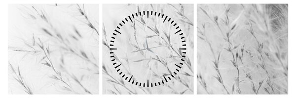 Obraz - Trawa pampasowa N⁰2 (z zegarem) (90x30 cm)