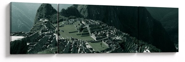 Obraz - Lamy w Machu Picchu w Peru (170x50 cm)