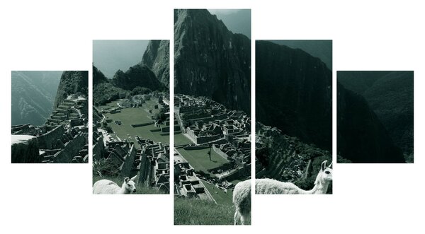Obraz - Lamy w Machu Picchu w Peru (125x70 cm)