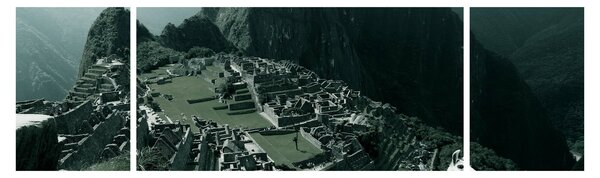Obraz - Lamy w Machu Picchu w Peru (170x50 cm)