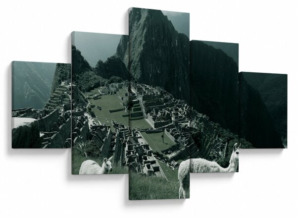 Obraz - Lamy w Machu Picchu w Peru (125x70 cm)