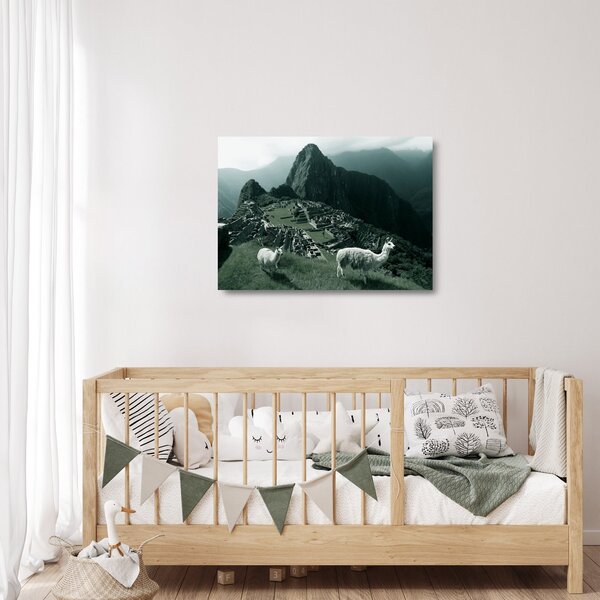 Obraz na szkle - Lamy w Machu Picchu w Peru (70x50 cm)