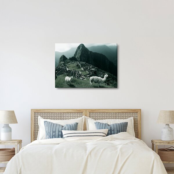 Obraz - Lamy w Machu Picchu w Peru (70x50 cm)