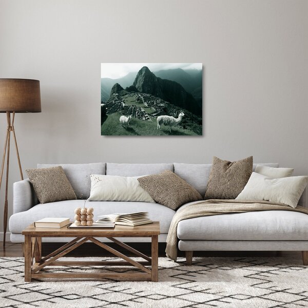 Obraz na szkle - Lamy w Machu Picchu w Peru (70x50 cm)