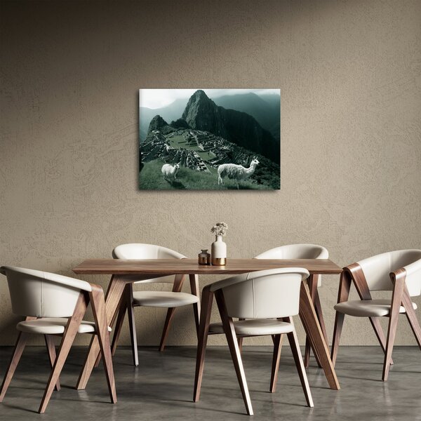 Obraz - Lamy w Machu Picchu w Peru (70x50 cm)