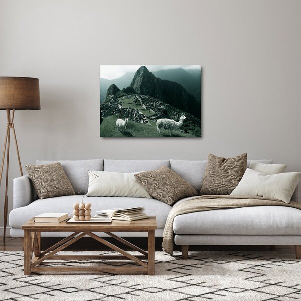 Obraz - Lamy w Machu Picchu w Peru (70x50 cm)