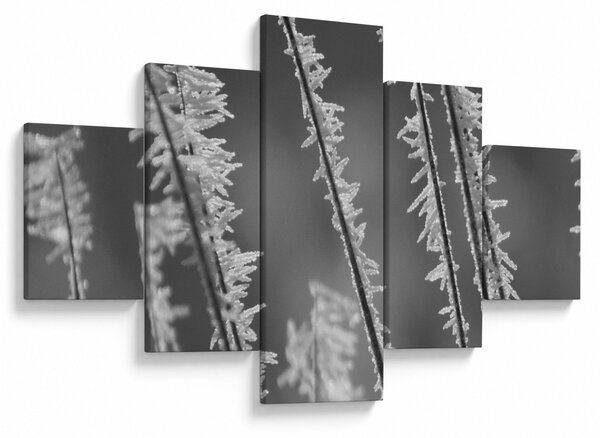 Obraz - Mroźne zimno (125x70 cm)