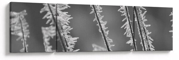Obraz - Mroźne zimno (170x50 cm)