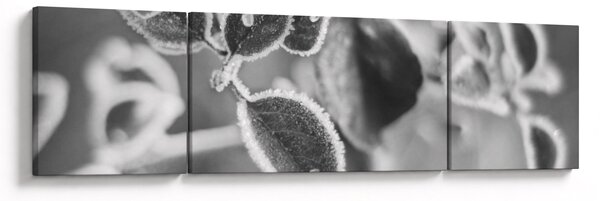 Obraz - Przyroda jesienią (170x50 cm)