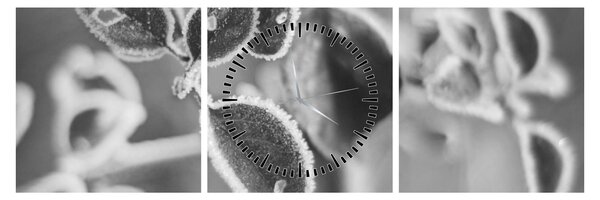 Obraz - Przyroda jesienią (z zegarem) (90x30 cm)