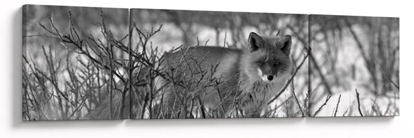 Obraz - Lis w zimie (170x50 cm)