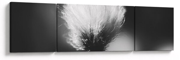 Obraz - Czarno-biała trawa bawełniana (170x50 cm)