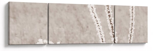 Obraz - Oset w zimie (170x50 cm)