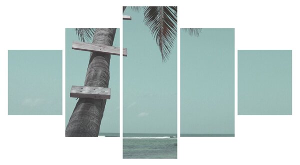 Obraz - Palma na Karaibach (125x70 cm)