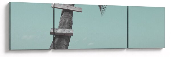 Obraz - Palma na Karaibach (170x50 cm)