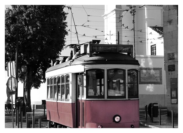 Obraz - Tramwaj (70x50 cm)