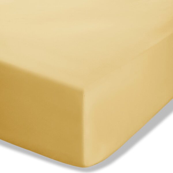 Żółte prześcieradło z perkalu z gumką 90x190 cm Easy Iron Percale – Catherine Lansfield