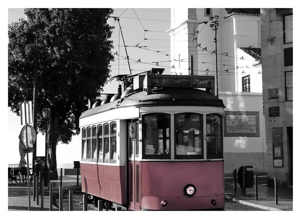 Obraz na szkle - Tramwaj (70x50 cm)