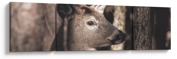 Obraz - Jeleń w lesie (170x50 cm)