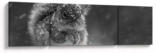 Obraz - Wiewiórka zimą (170x50 cm)