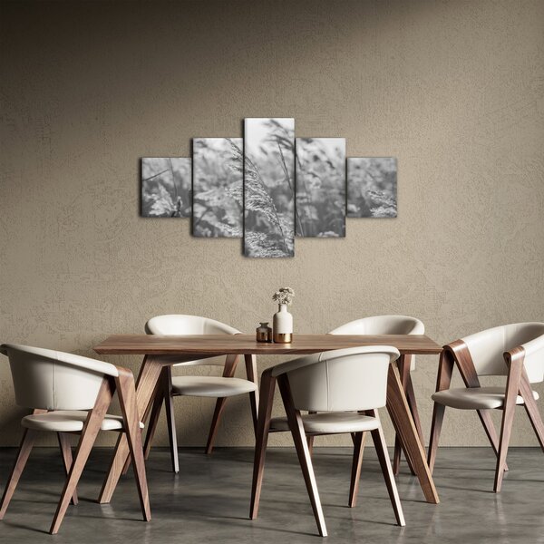 Obraz - Trawa na wietrze (125x70 cm)