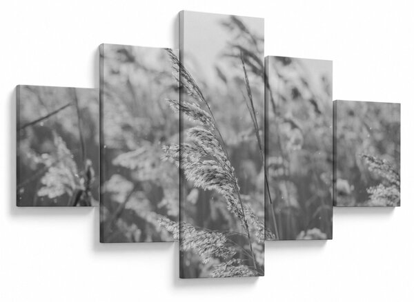 Obraz - Trawa na wietrze (125x70 cm)