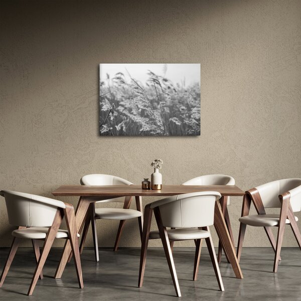 Obraz - Trawa na wietrze (70x50 cm)