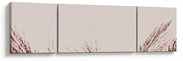 Obraz - Suszona trawa (170x50 cm)
