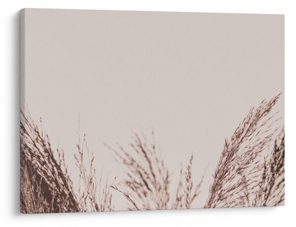 Obraz - Suszona trawa (70x50 cm)