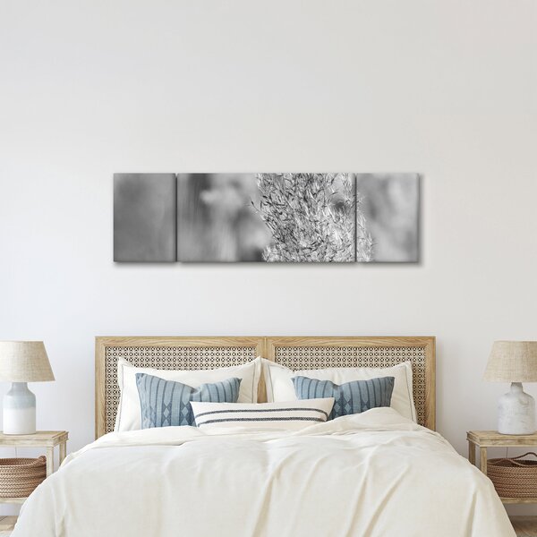 Obraz - Trawa pampasowa Boho (170x50 cm)