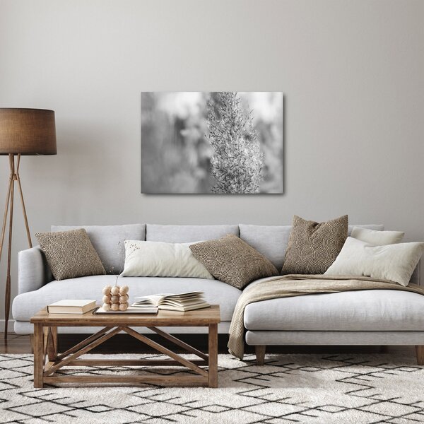 Obraz - Trawa pampasowa Boho (70x50 cm)