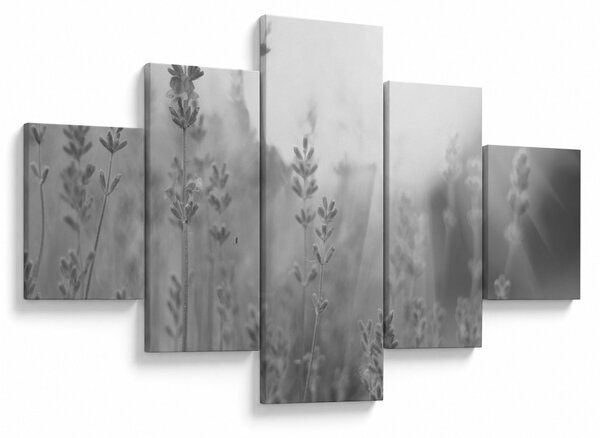 Obraz - Lawenda (125x70 cm)