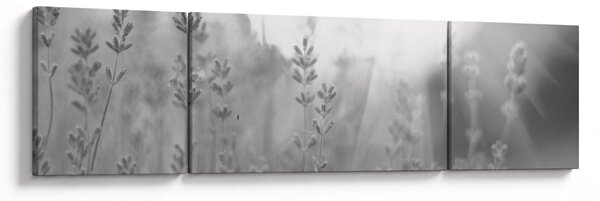 Obraz - Lawenda (170x50 cm)