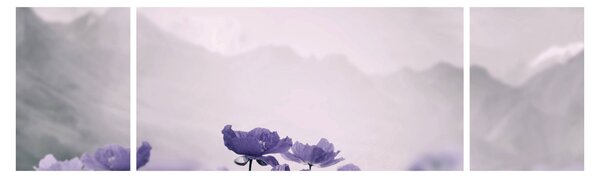 Obraz - Fioletowe kwiaty w górach (170x50 cm)