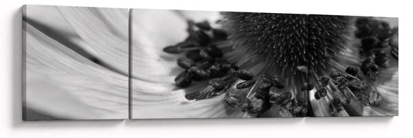 Obraz - Kwiat w czerni i bieli (170x50 cm)
