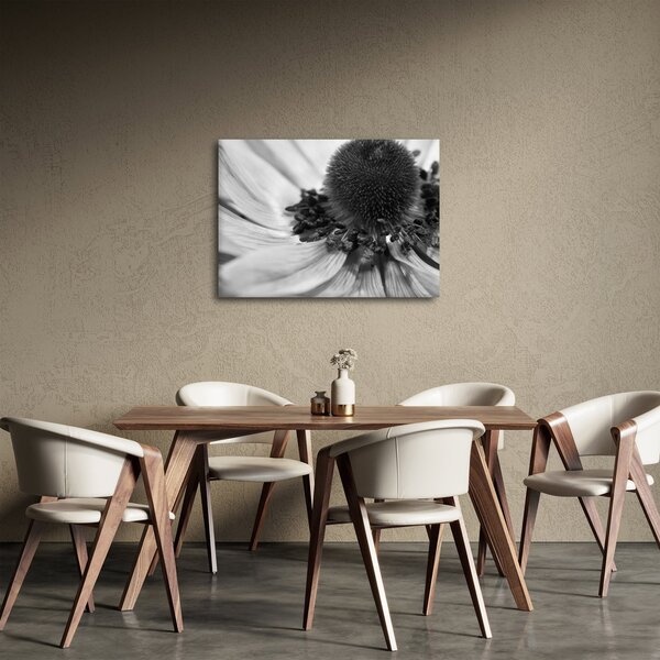 Obraz - Kwiat w czerni i bieli (70x50 cm)
