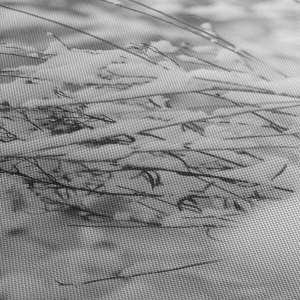 Obraz - Ośnieżone gałęzie (170x50 cm)