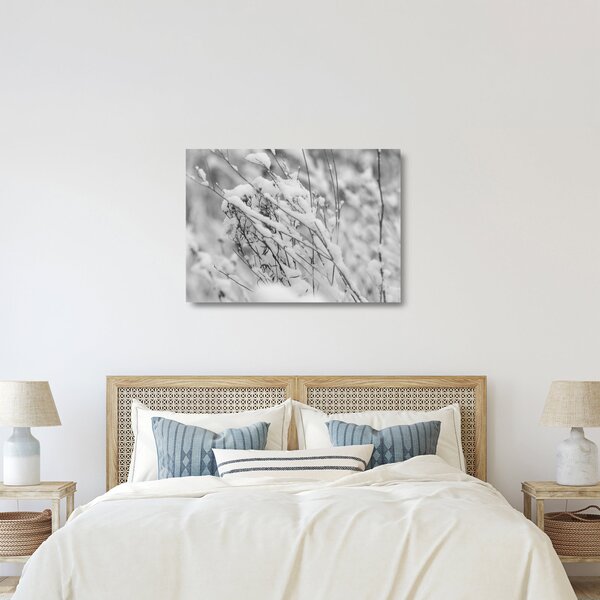 Obraz na szkle - Ośnieżone gałęzie (70x50 cm)