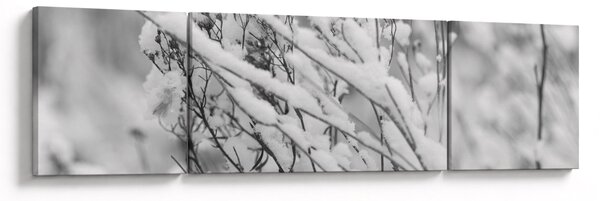 Obraz - Ośnieżone gałęzie (170x50 cm)
